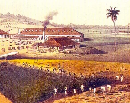 Plantation