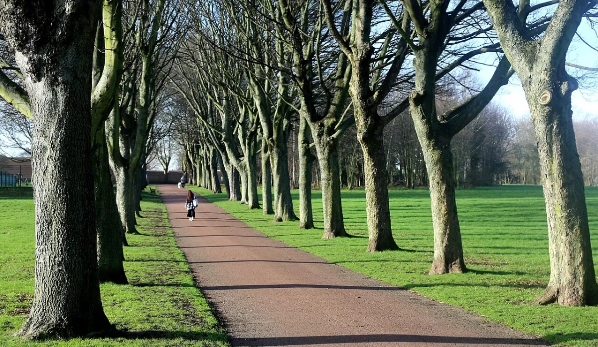 Rotherham