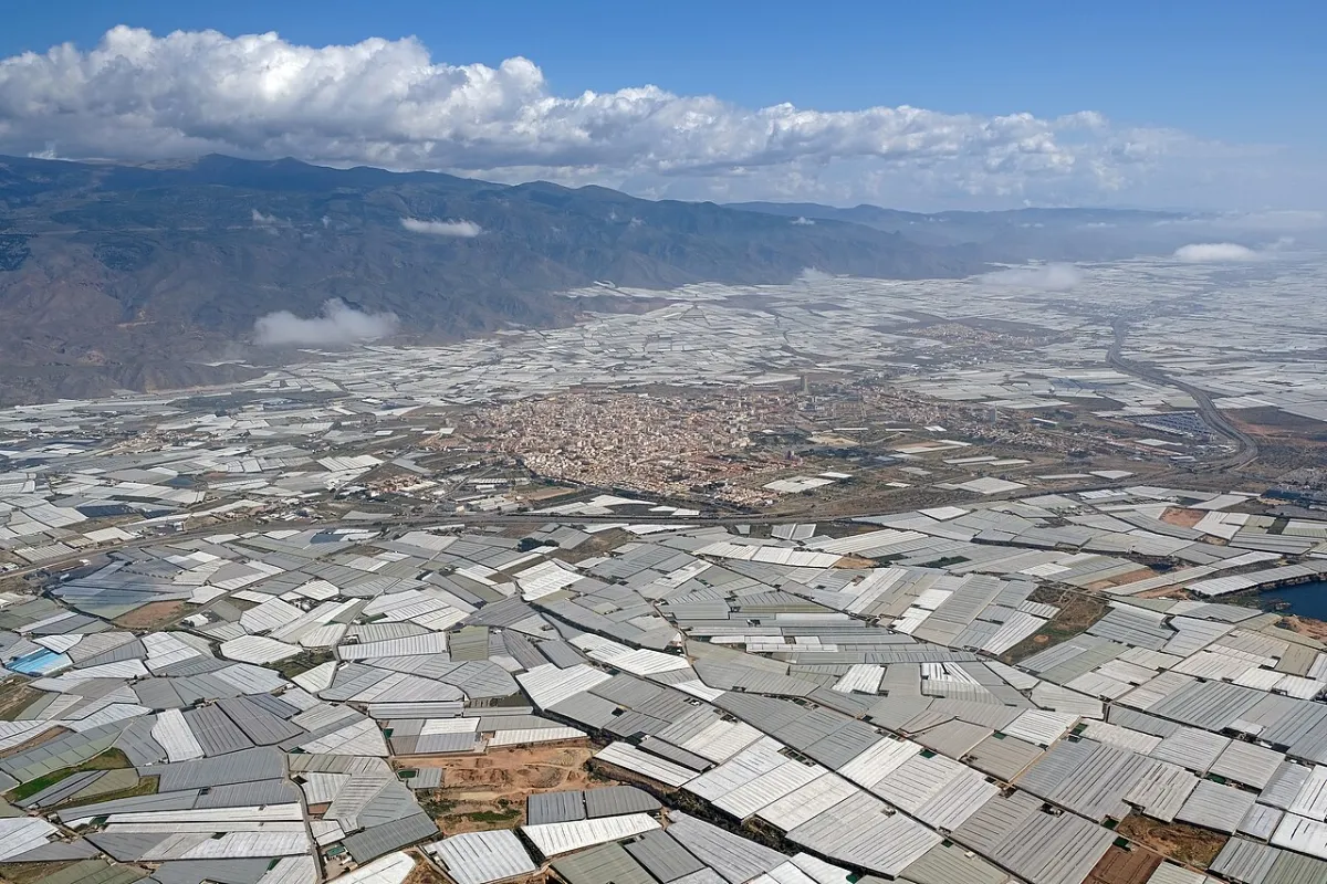 El Ejido